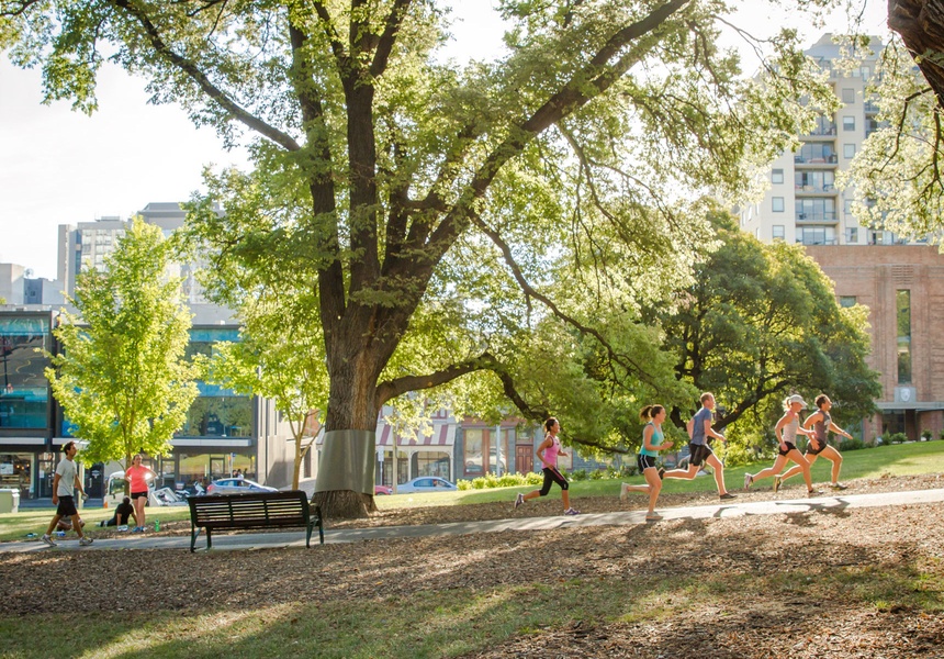 The Trees That Return Your Emails image